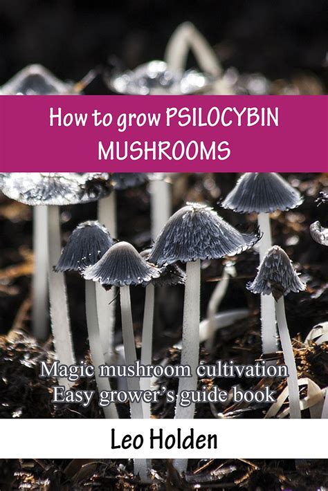 Magic mushroom liquid cultures